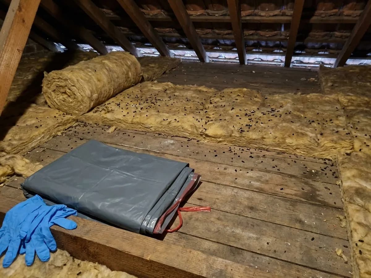 Biohazard cleaning and clearance inspection in Bradford