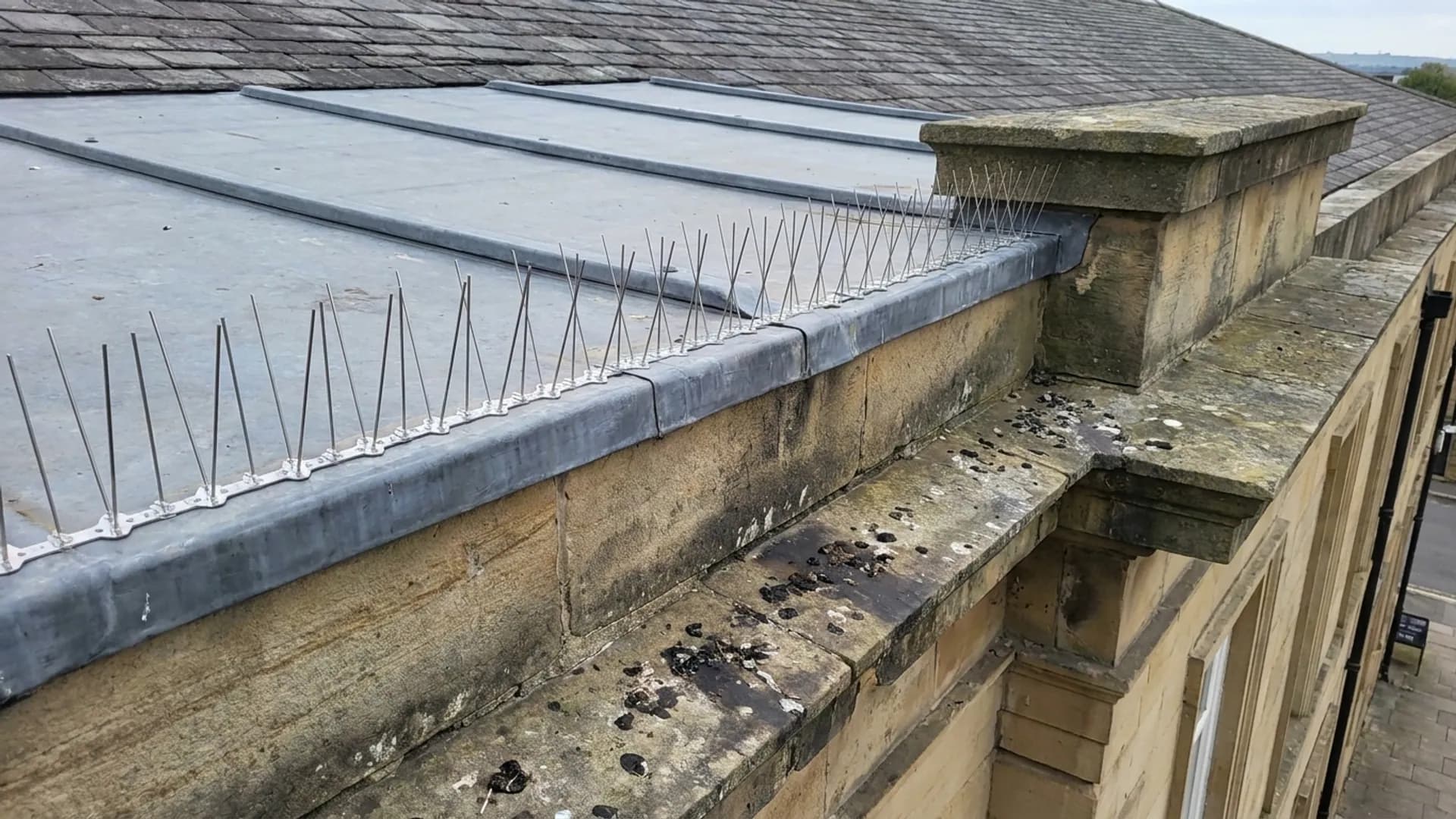 Bird proofing spikes fitted along a roofline with fouling marks visible