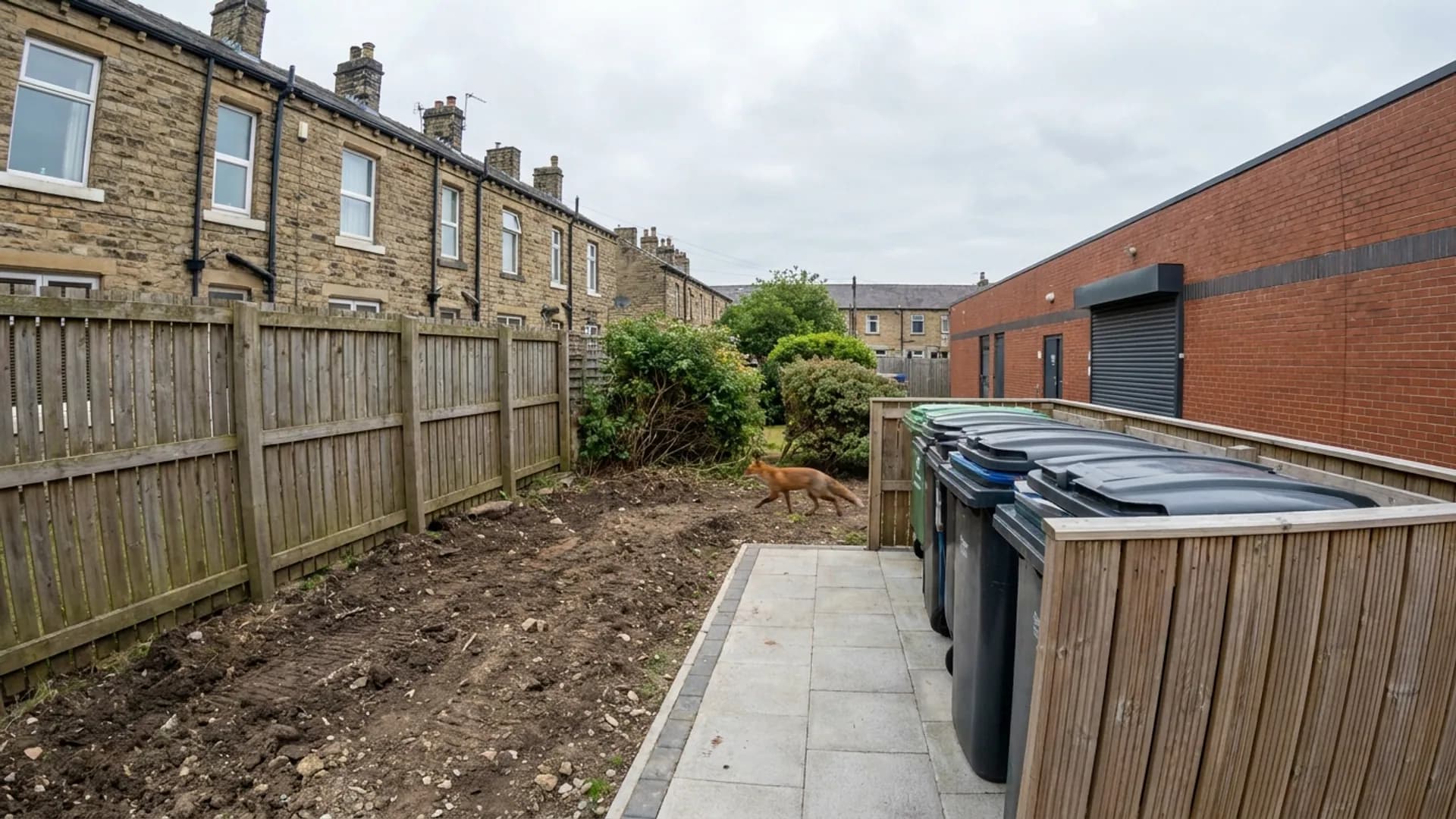 Fox nuisance access and garden edge assessed in Bradford