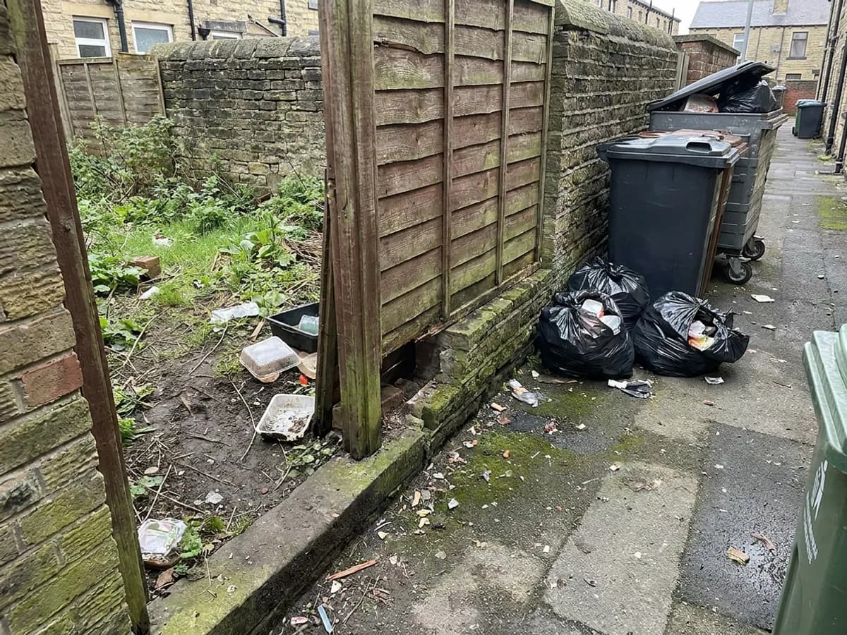 Fox activity signs checked around a waste and boundary area in Bradford