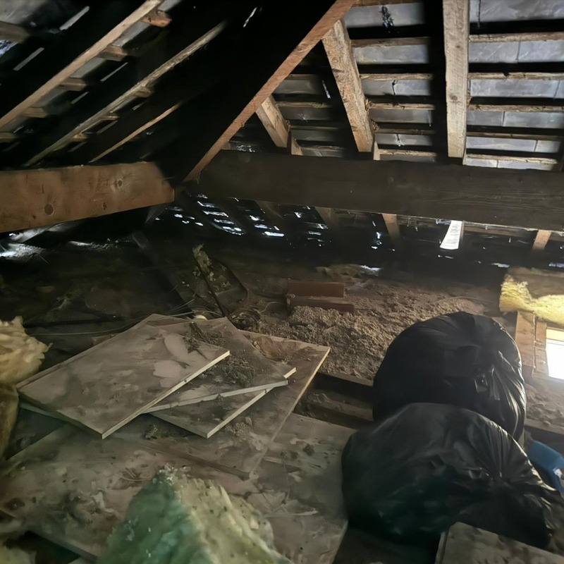 A dirty loft filled with black bin bags in it